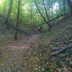 Kraina Wąwozów Lessowych 2020